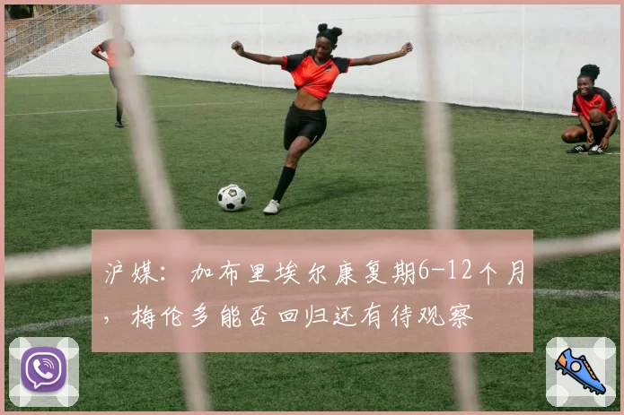 沪媒：加布里埃尔康复期6-12个月，梅伦多能否回归还有待观察