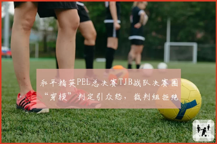 和平精英PEL总决赛TJB战队决赛圈“穿模”判定引众怒,裁判组拒绝回放录像