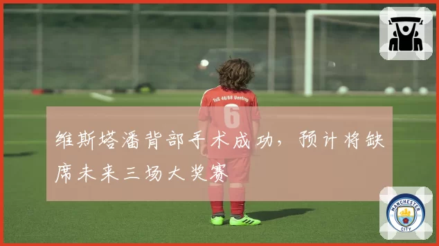 维斯塔潘背部手术成功，预计将缺席未来三场大奖赛