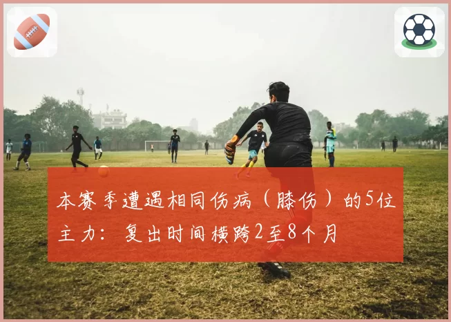 本赛季遭遇相同伤病（膝伤）的5位主力：复出时间横跨2至8个月
