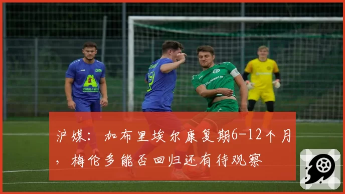 沪媒：加布里埃尔康复期6-12个月，梅伦多能否回归还有待观察